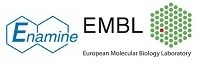 Enamine, EMBL Agree to Library Synthesis and Drug Discovery Services Collaboration